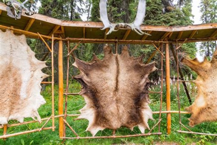 How do you tan a hide with fur?