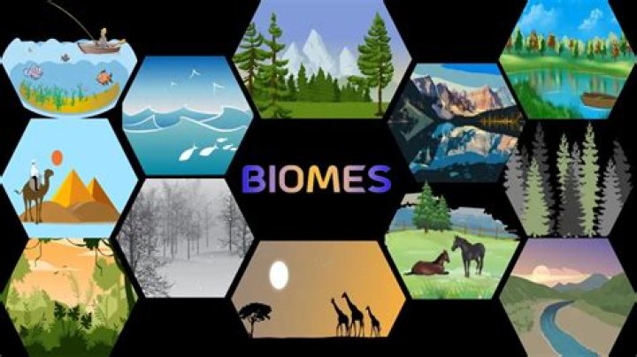 How do you teach biomes?