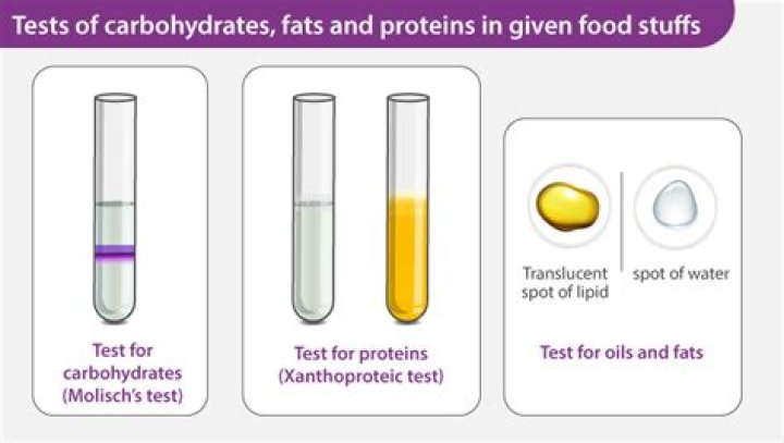 How do you test for carbohydrates and proteins?