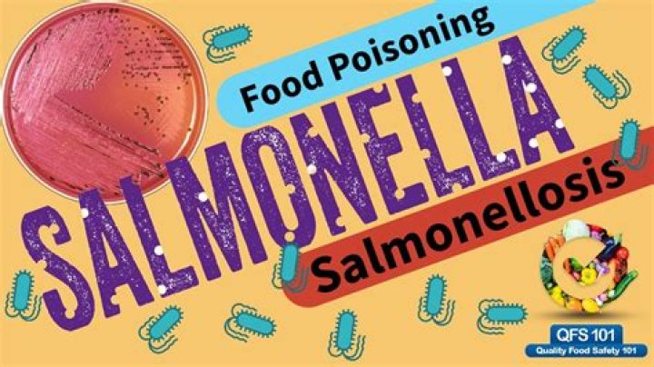 How do you test for Salmonella in food?