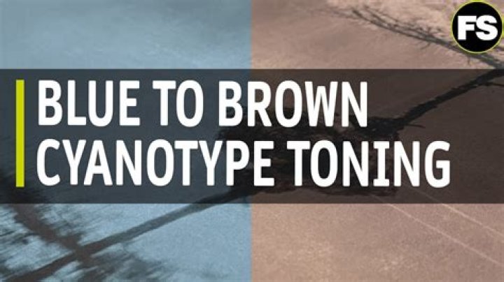 How do you tone Cyanotypes?