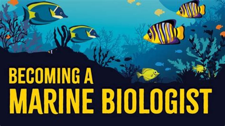 How do you train to be a marine biologist?