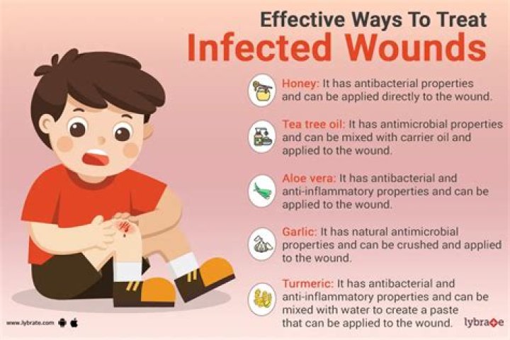 How do you treat an injured cactus?