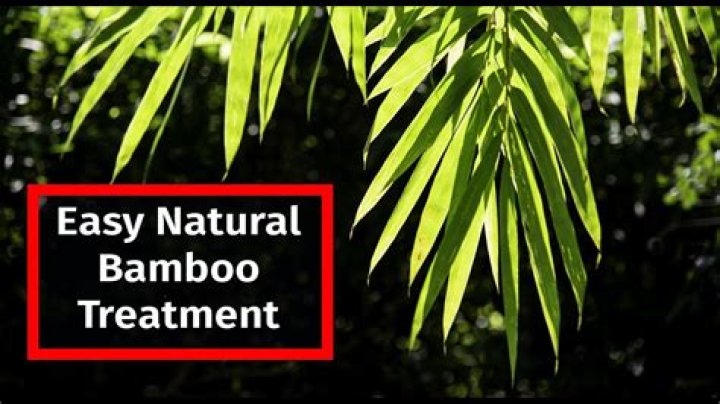 How do you treat bamboo with boric acid?