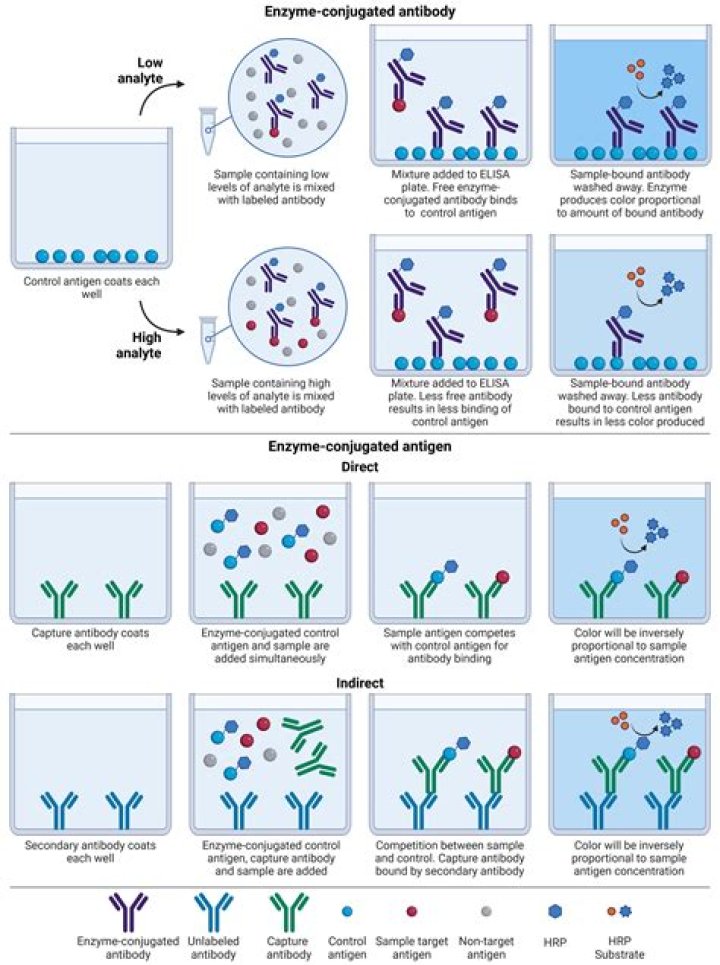 How do you troubleshoot an Elisa assay?