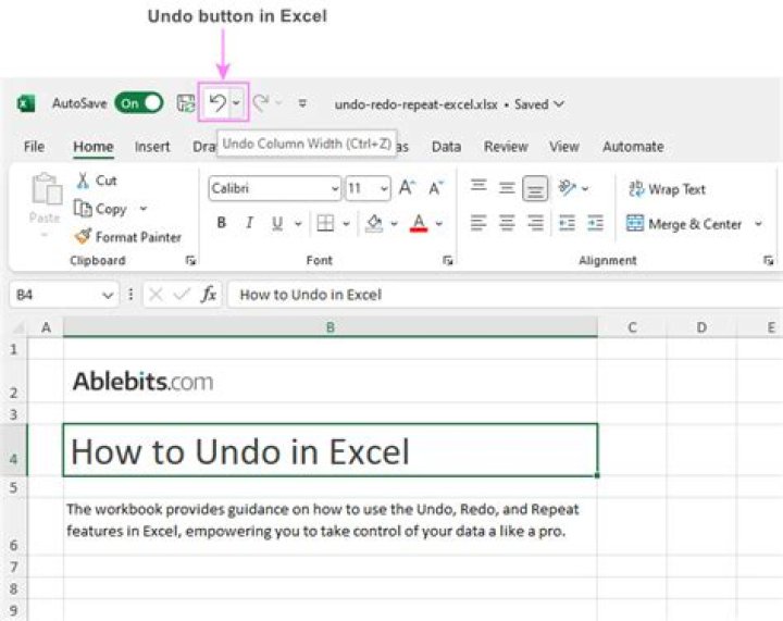 How do you undo an action in Excel?