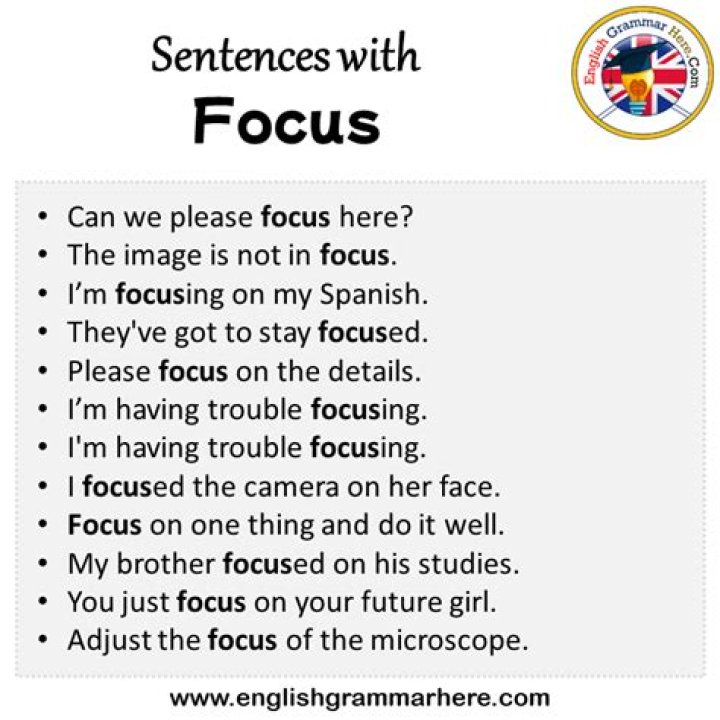 How do you use focus in a sentence?