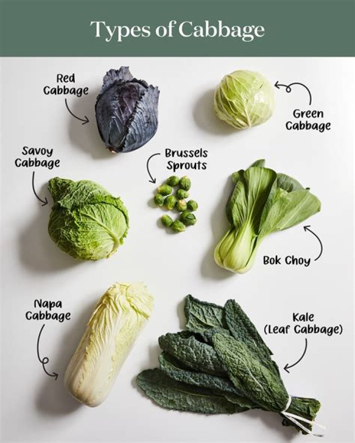 How do you use savoy cabbage on breasts?