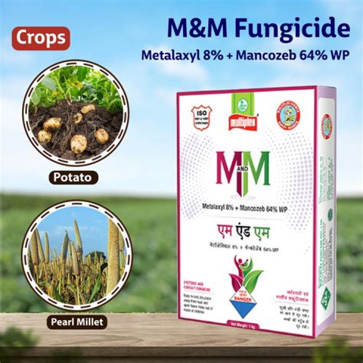 How do you use Topsin M fungicide?