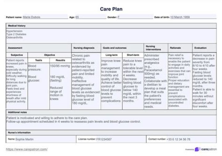 How do you write a care plan for schizophrenia?