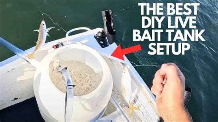 How does a bait tank work?