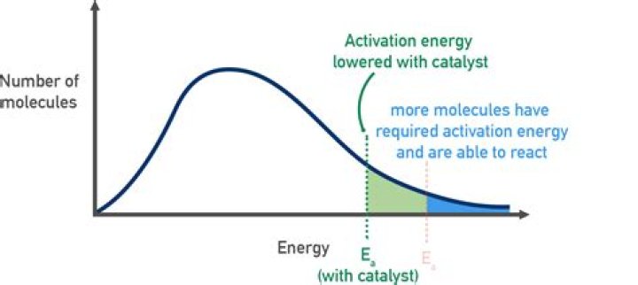 How does a catalyst affect energy of activation?