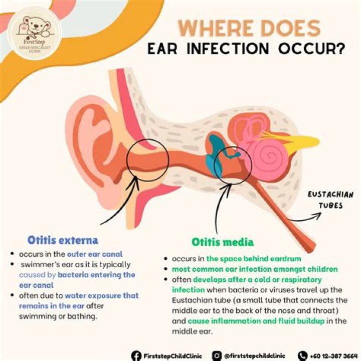 How does a dog act when they have an ear infection?