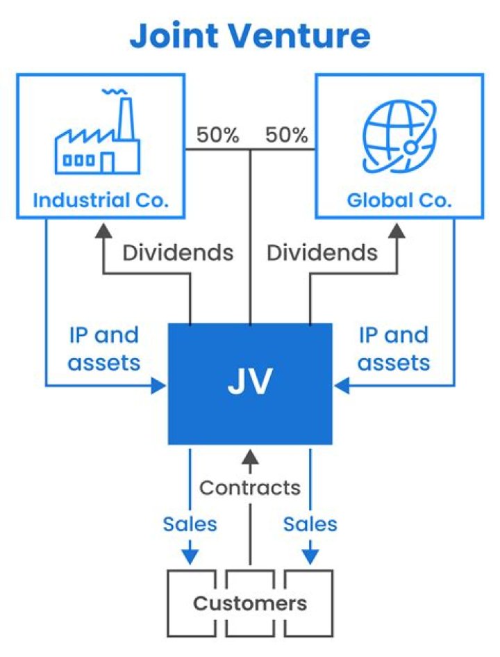 How does a joint venture work?