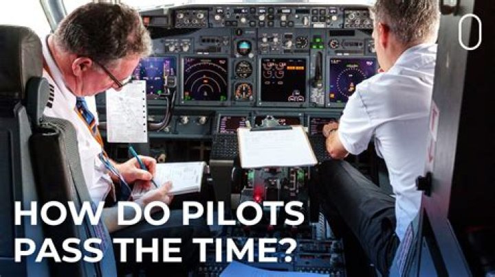 How does a pilot fly a plane?