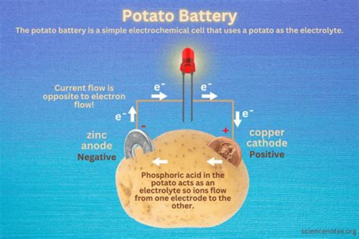 How does a potato battery produce electricity?