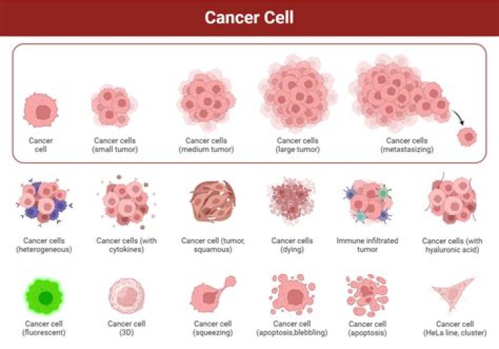 How does breast cancer form in cells?