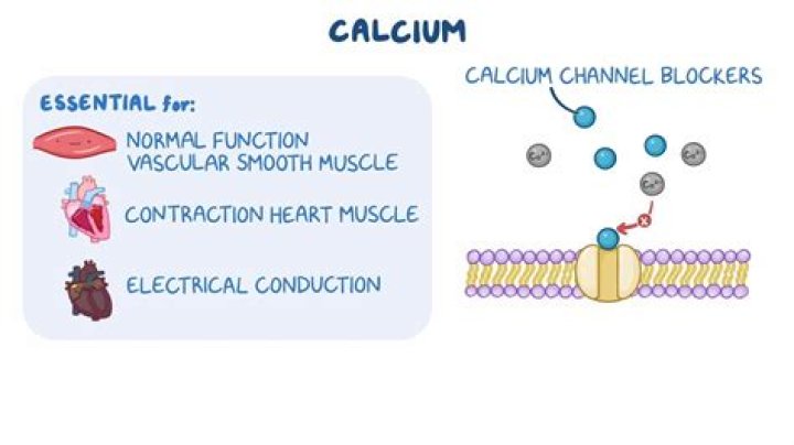 How does calcium affect dopamine?