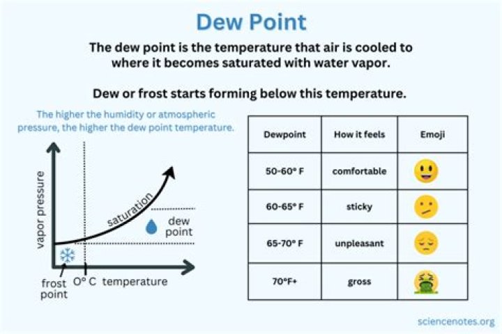How does dew point relate to water vapor?