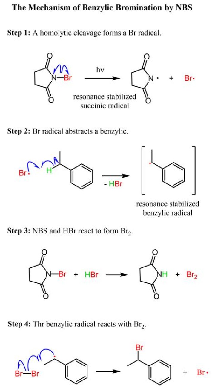How does ethidium bromide work as a DNA stain?