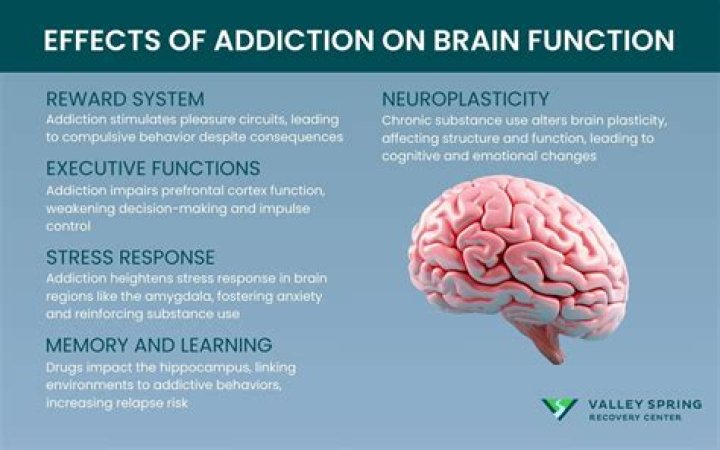 How does exercise addiction affect the brain?