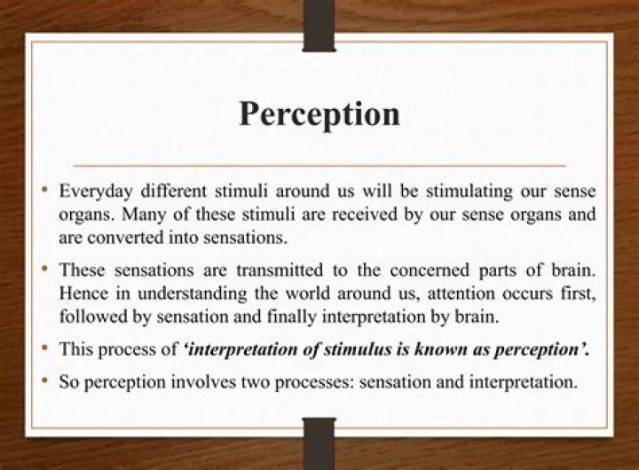 How does perception affect Behaviour?