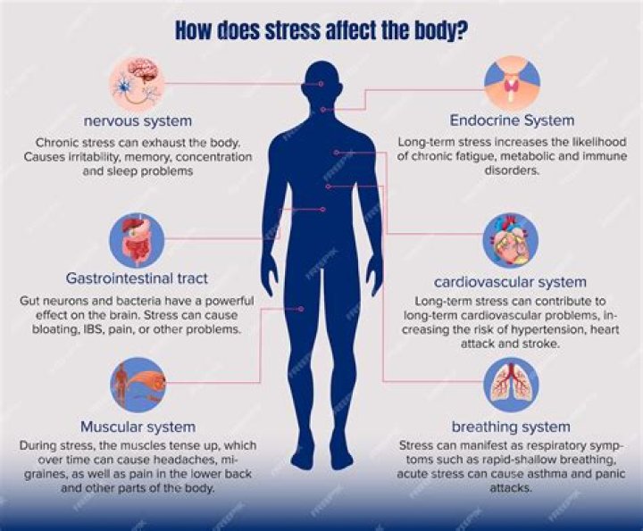How does stress affect circulation?