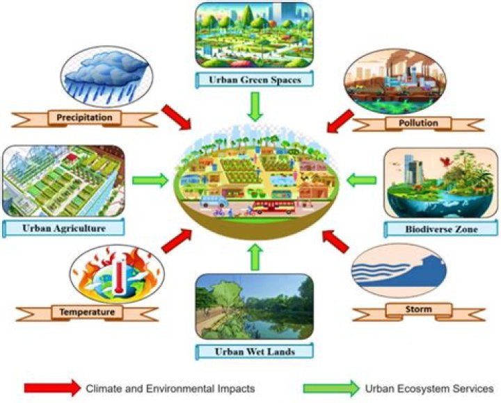 How does urbanization affect the natural environment?