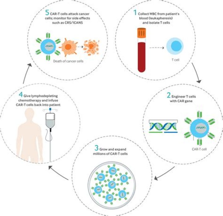 How effective is Esfenvalerate?