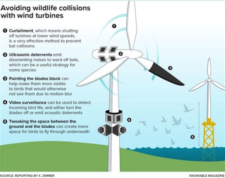 How far can a wind turbine throw a blade?