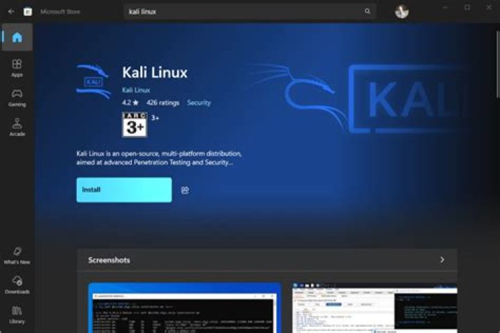 How install Kali Linux as second OS?
