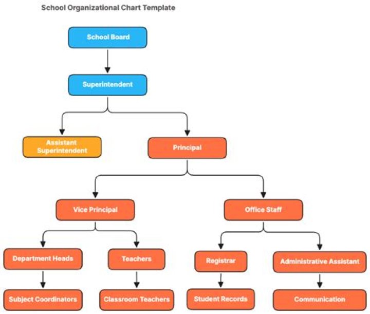 How is a school organization structured?