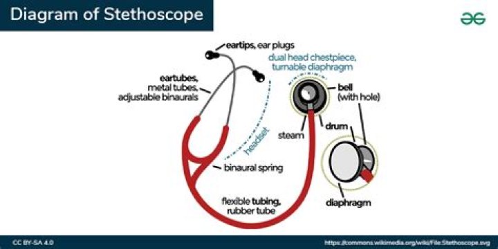 How is a stroboscope works?