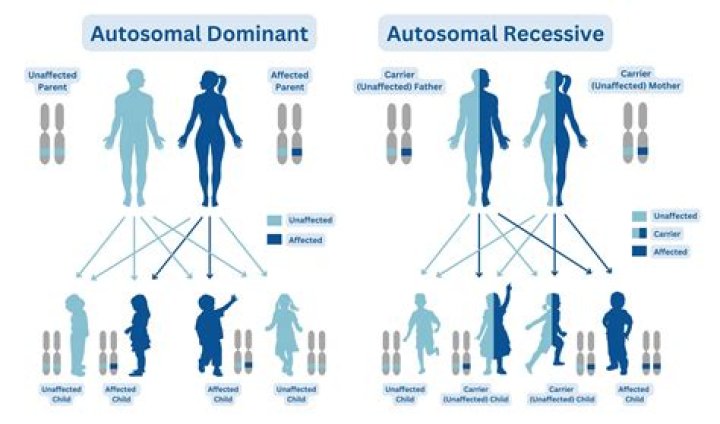 How is autosomal dominant hypocalcemia diagnosed?