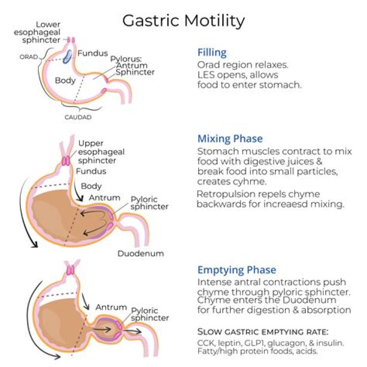 How is bowel motility tested?