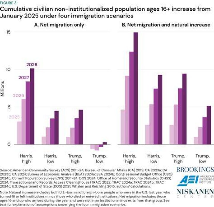 How is education affect by immigration?