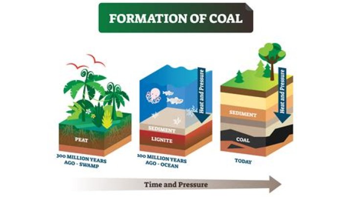 How is fossil fuel coal formed?