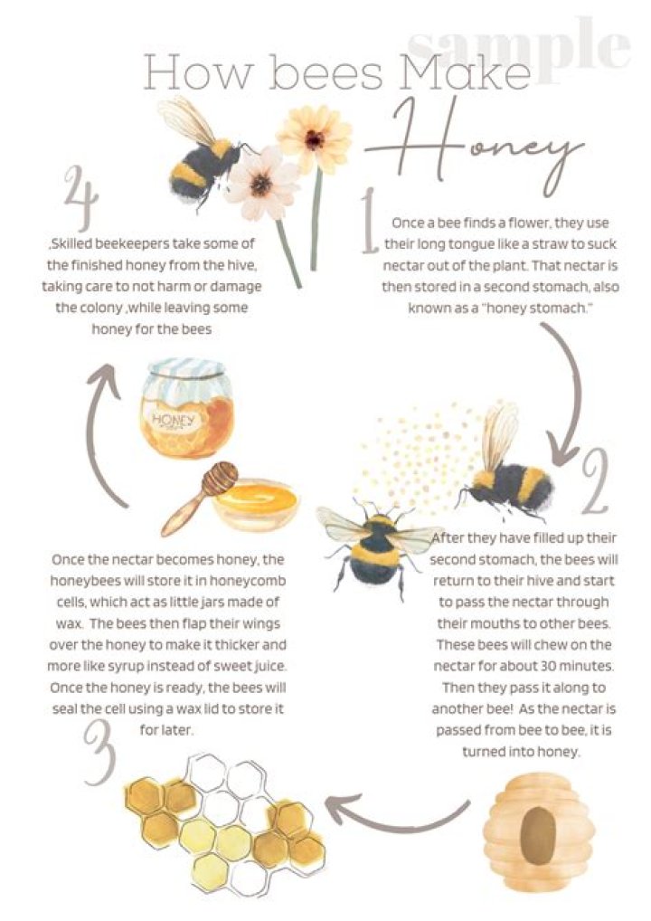 How is honey made step by step?