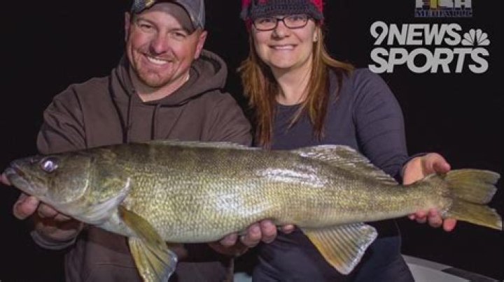 How is the fishing at Chatfield Reservoir?
