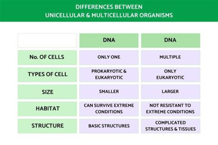 How is unicellular and multicellular difference?