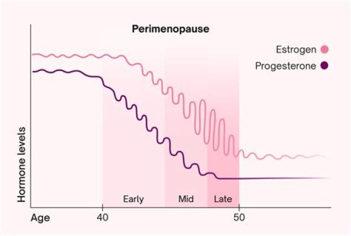 How long are menstrual cycles during perimenopause?