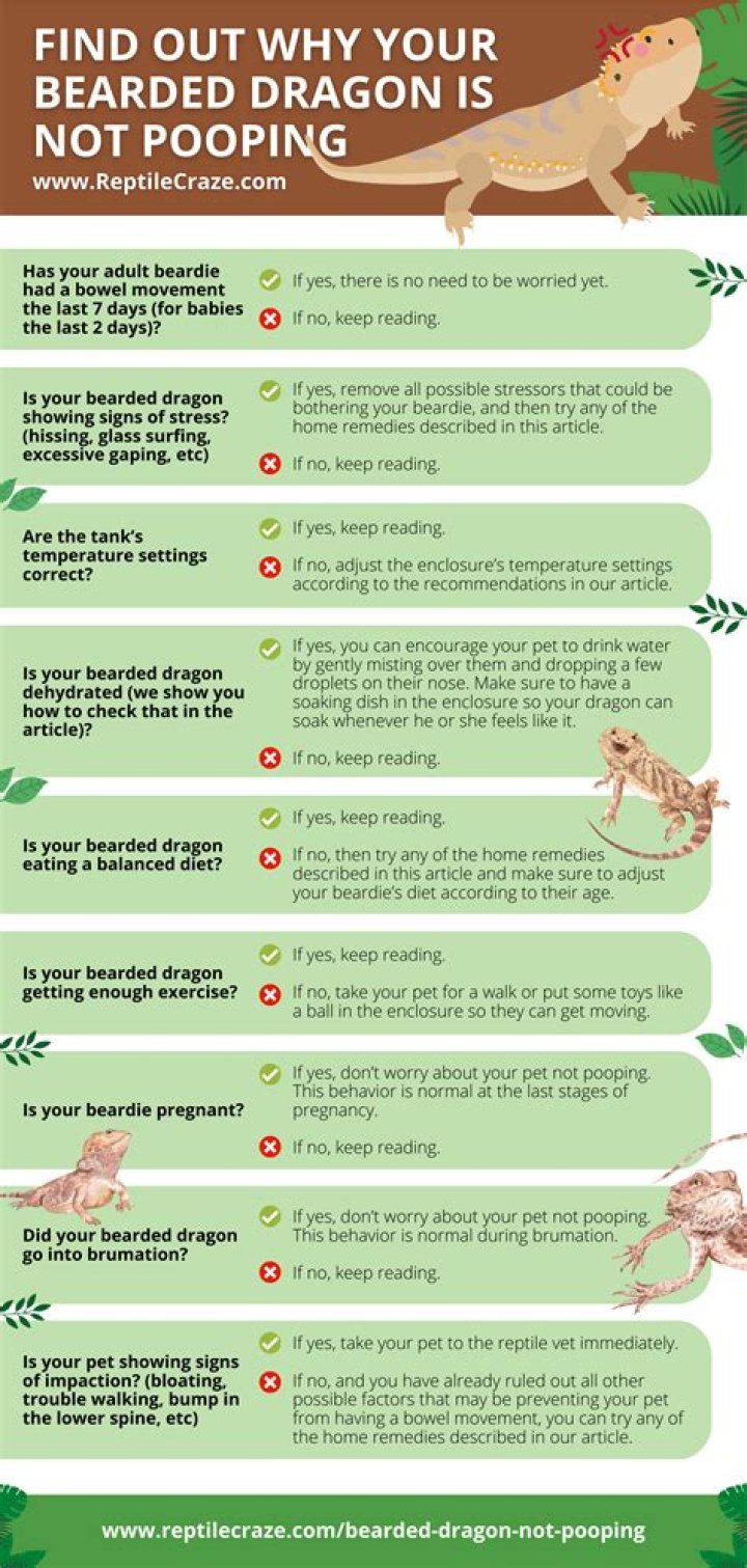 How long can a 5 month old go without pooping?