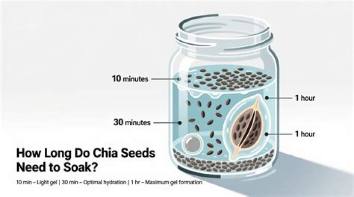 How long do bag seeds take to grow?