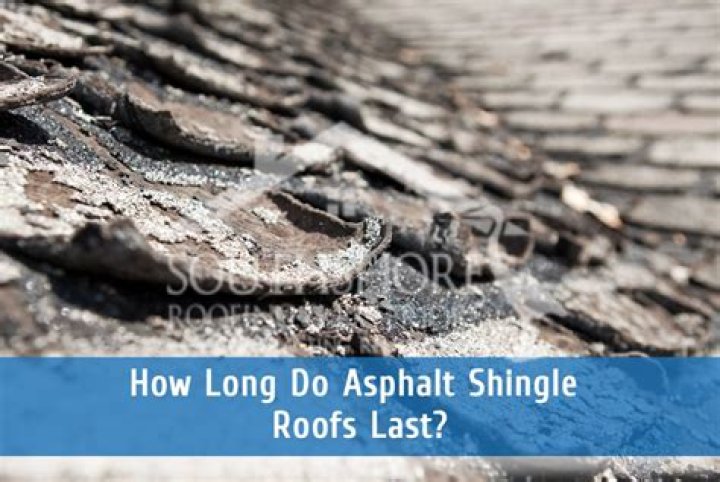 How long do palapa roofs last?