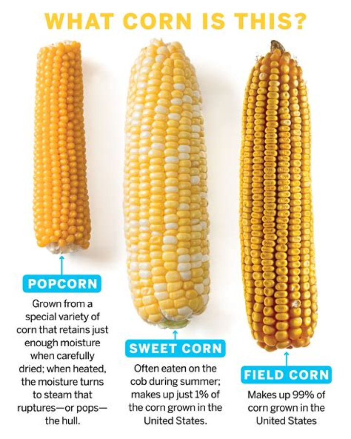 How long do you soak Hominy corn?