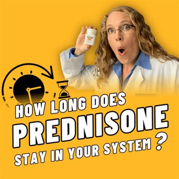 How long does 15mg phentermine stay in your system?