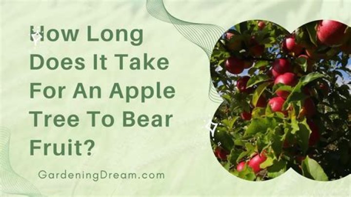 How long does Apple hold your appointment?