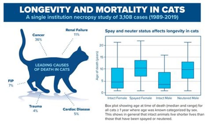 How long does it take for a cat to die from distemper?