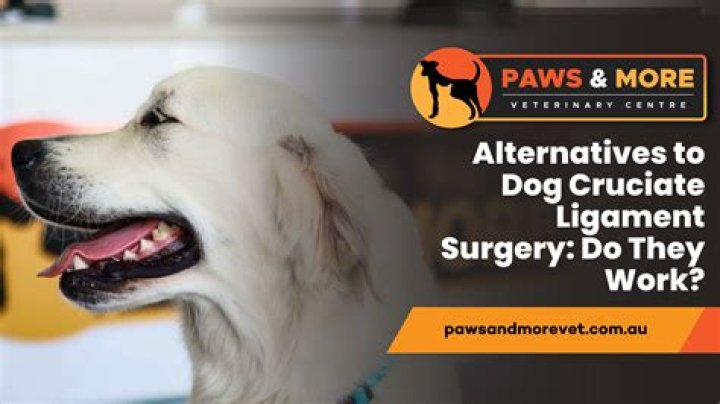 How long does it take for a dog to recover from cruciate surgery?