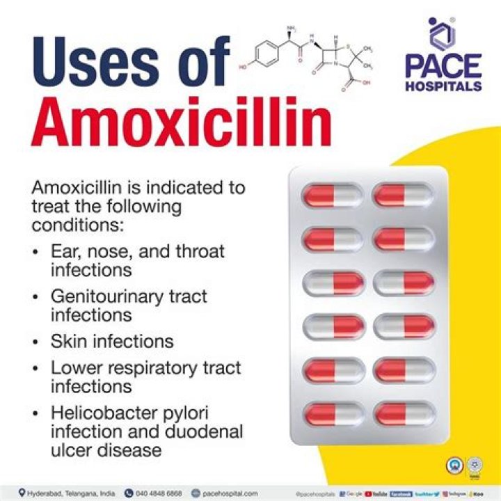 How long does it take for amoxicillin to work on an abscess?